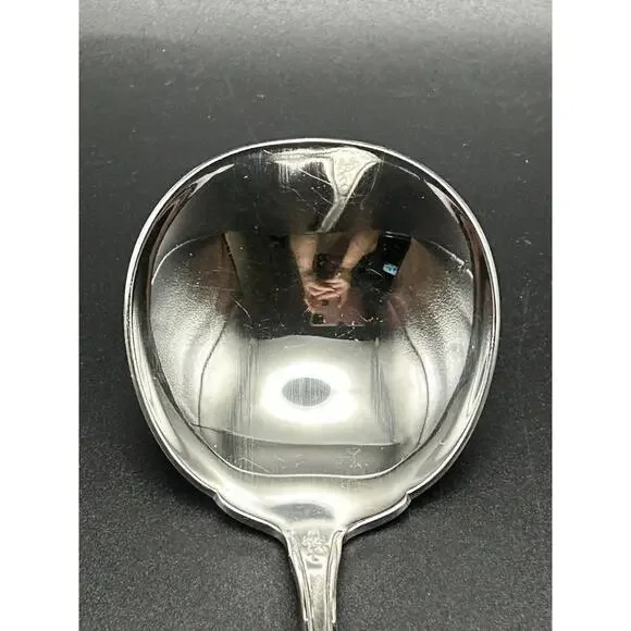 Vintage Oneida Morning Blossom Stainless Gravy Ladle 1960’s